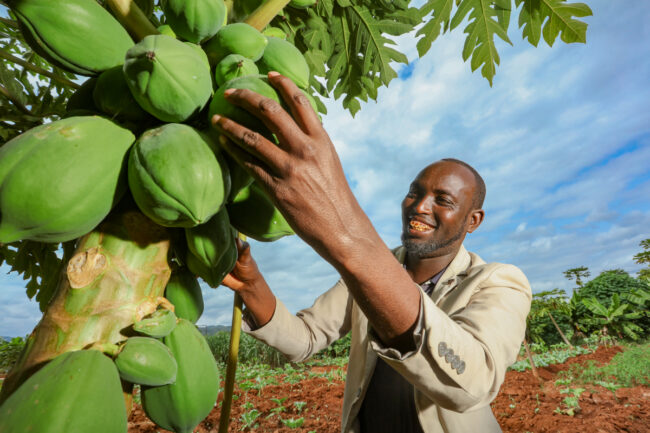 FARMING WITh THE SOIL, NOT AGAINST IT