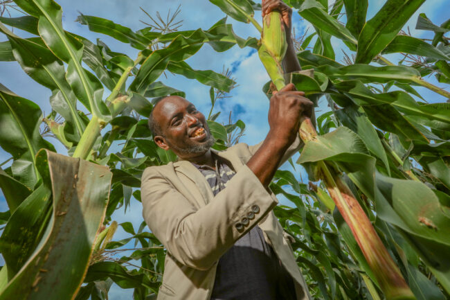 FARMING WITh THE SOIL, NOT AGAINST IT