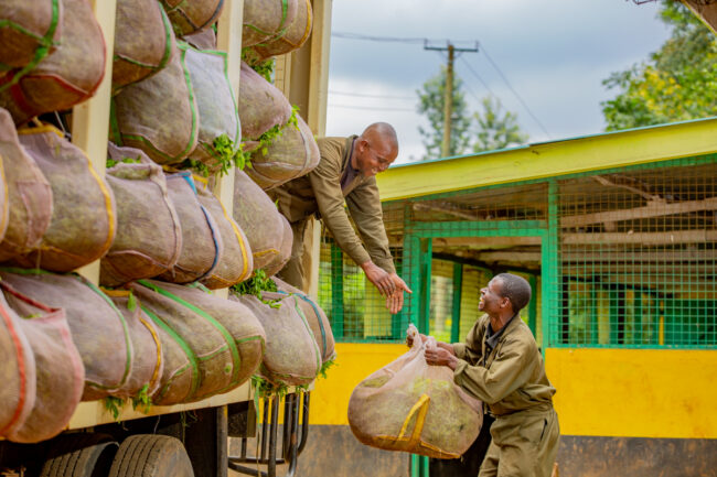 SOCIAL ISSUES TRAINING-KIMUNYE TEA FACTORY-FEMALE TRUCK DRIVERS