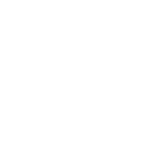 Amnesty